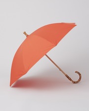 UMBRELLA BAMBOO 詳細画像 スパイシーオレンジ 1