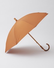 UMBRELLA BAMBOO 詳細画像 ブリック 1