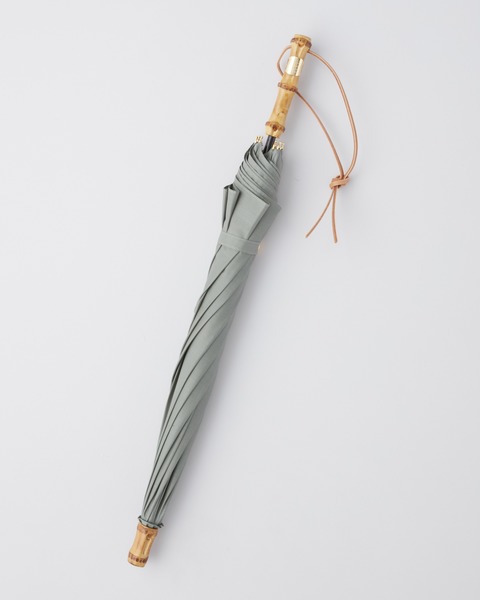 PARASOL BAMBOO