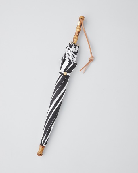 PARASOL BAMBOO