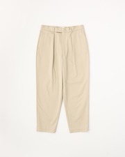 UNIONSLACKS 108 CHINO 詳細画像 フォーン 11