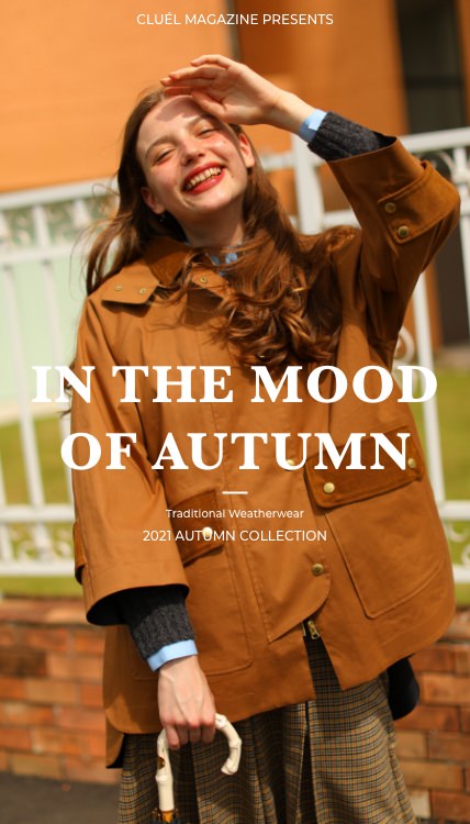 IN THE MOOD OF AUTUMN